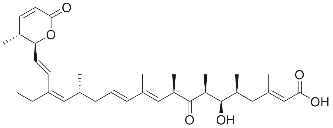 Leptomycin B