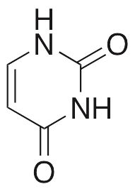 Uracil