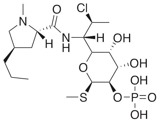 Clindamycin Phosphate