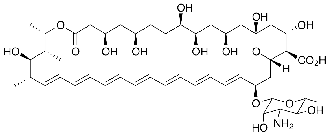 Amphotericin B