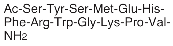 α-Melanocyte Stimulating Hormone