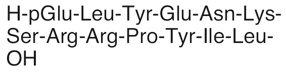 Neurotensin, guinea pig